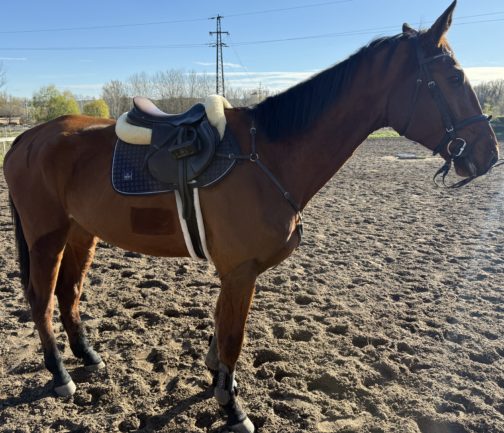 Hand Furioso Látomás