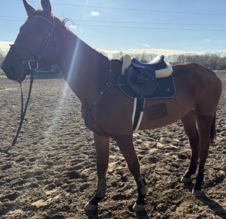 Hand Furioso Látomás