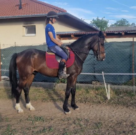 Rambo De Tramarubis