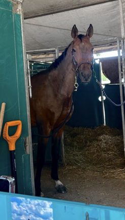 Hermitage De La Motte L