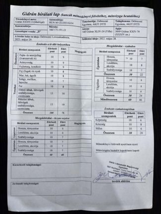 Gidran XXXIV-31(Madrigál)