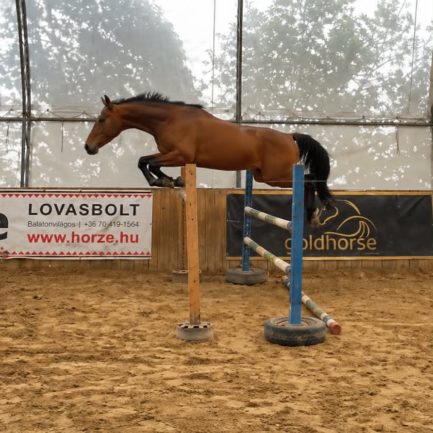 Quickstep