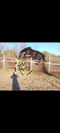 Tm Skydancer