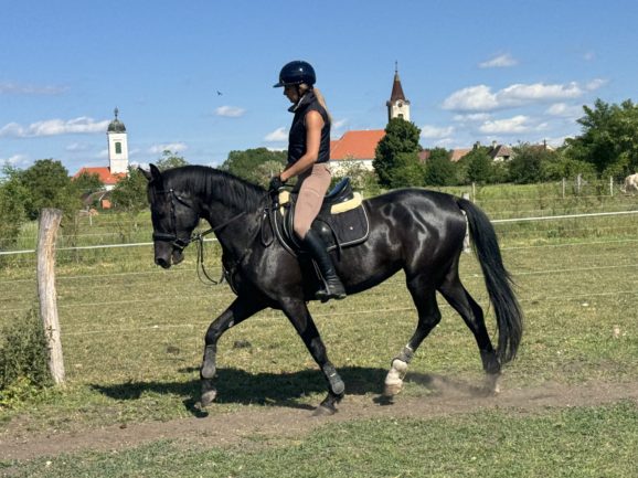 Zafír