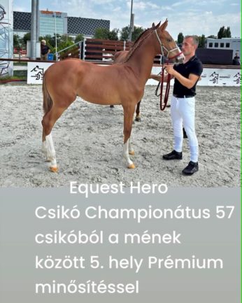 Equest Hero