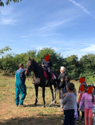 Írisz