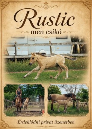Rustic