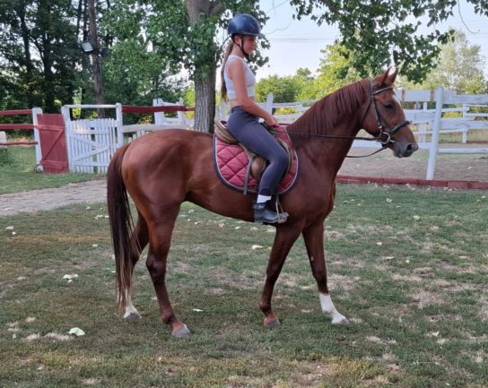 Casid De Reve