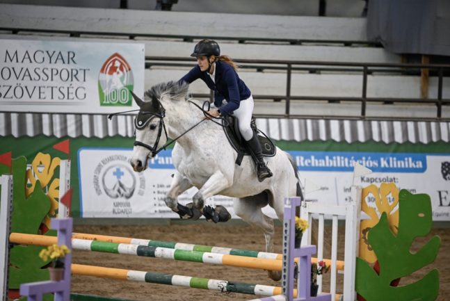 Vihar