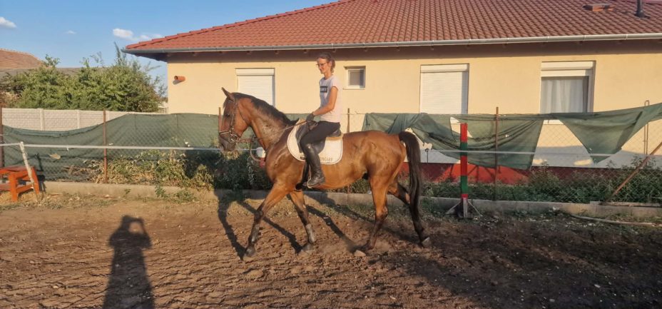 Furioso