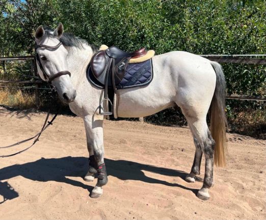 Pierro