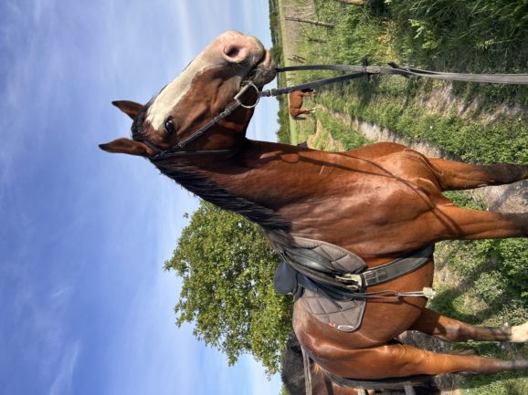 Furioso-67 Nicsak