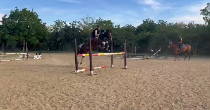Zora