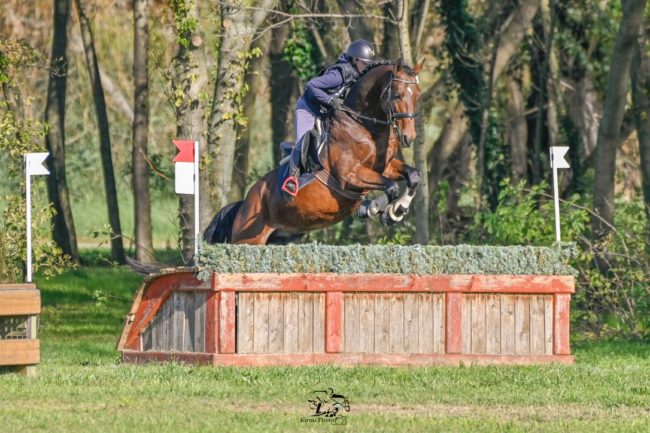 Amati Spartacus L