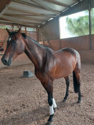 Missis Jones