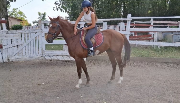 Casid De Reve 