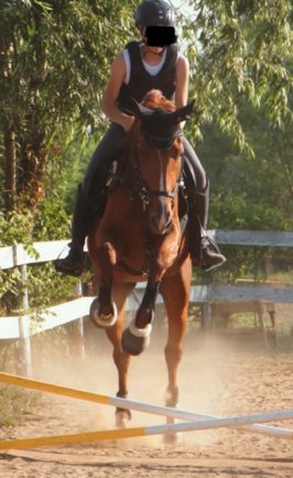 Clementina (Tina)