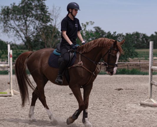 Kónyaszék Akarat