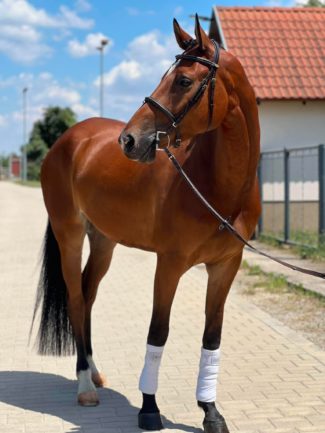 Vapiano