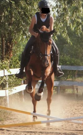 Clementina 