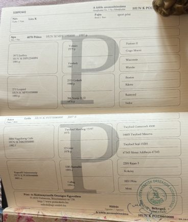 Líra K