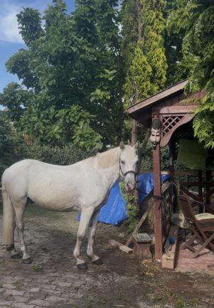 Athos