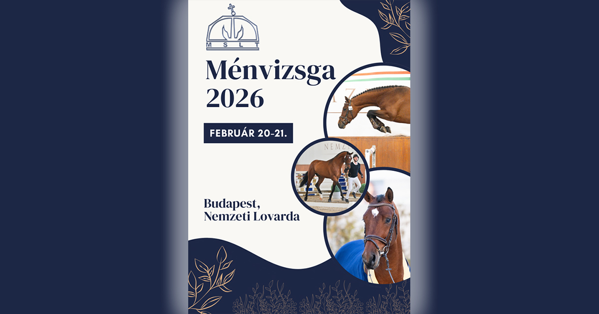 Mslt menvizsga2026 og2